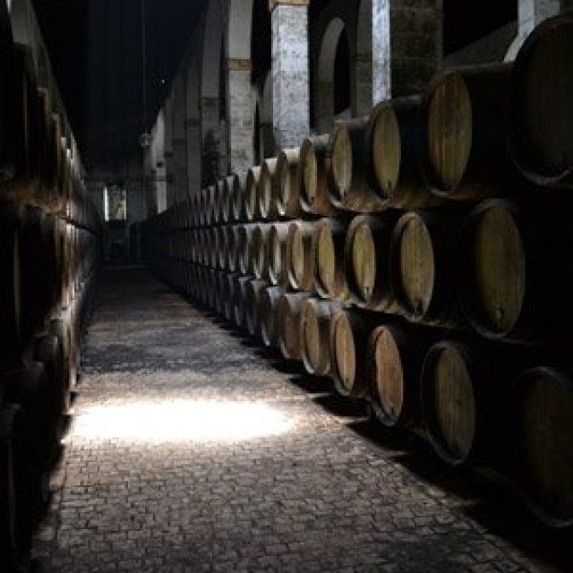 Jerez de la Frontera