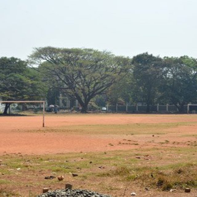 The cricket fields