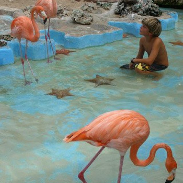 Sea Aquarium