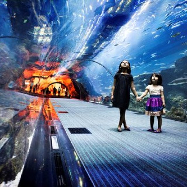 Dubai Aquarium