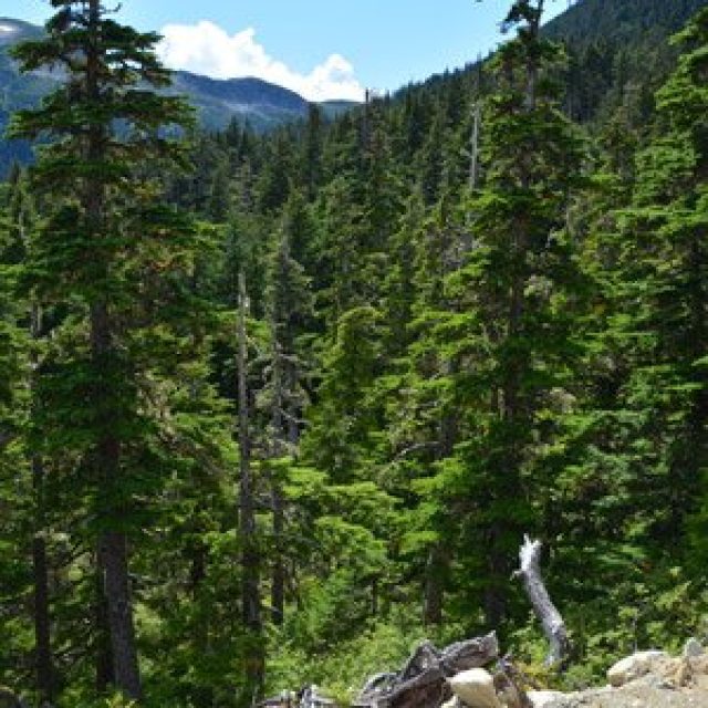 Hiking trails