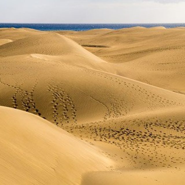 The dunes of Maspalomas
