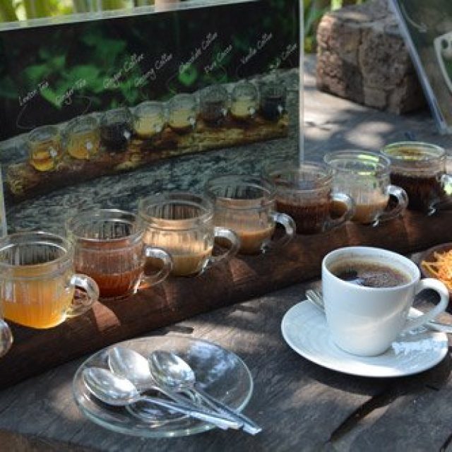 Bali Pulina