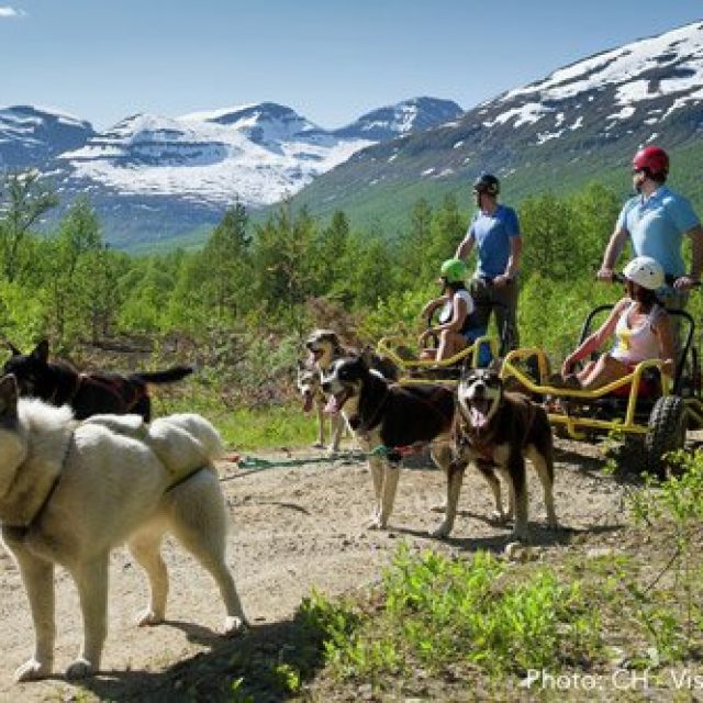 Dog sledding in Tromsø