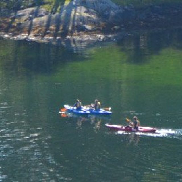 Kayaking in the Ulvikfjord