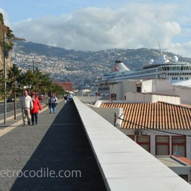 Funchal cruise dock